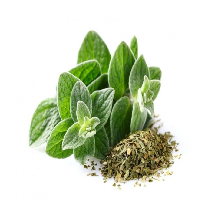 oregano