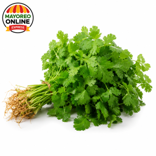 Culantro Castilla