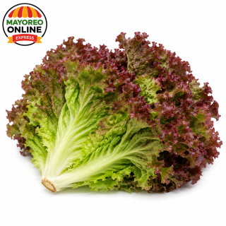 Lechuga Lollo Rosso