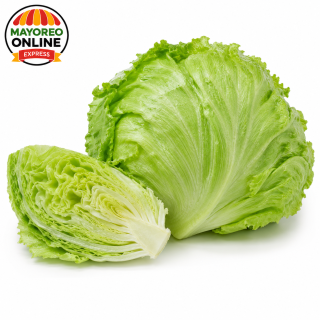 Lechuga americana