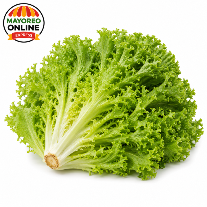 Lechuga escarola