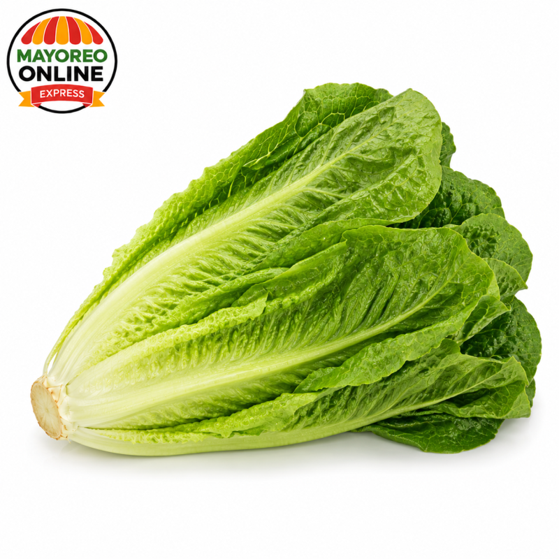Lechuga Romana