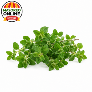 Oregano